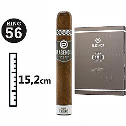 Plasencia Alma Del Campo Sendero (Pack of 5)