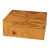 Adorini Salento Olive Burl Medium Υγραντήρας Ισπανικού Κέδρου 60 Πούρων