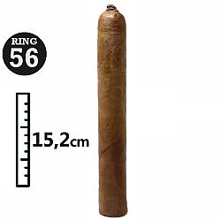Anonymous Nica 56 