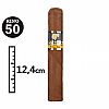 Cohiba Robustos (box of 25)