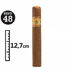 El Rey Del Mundo Choix Supreme