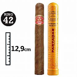 Partagas Coronas Senior