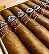 Montecristo Maltes