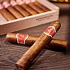 La Flor De Cano Elegidos