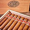 La Flor De Cano Elegidos