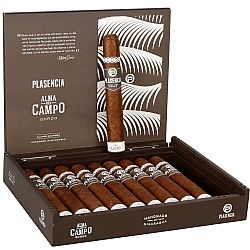 Plasencia Alma Del Campo Madrono (Box of 10)