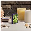 Zippo Cannabis Design [49790]