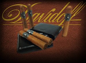 Zino Z series Cigars Set