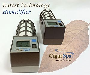 01 Cigar Spa