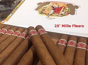 Romeo y Julieta Mille Fleurs