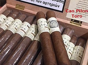 Cao Pilon Toro