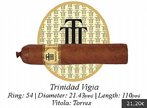 Trinidad Vigia